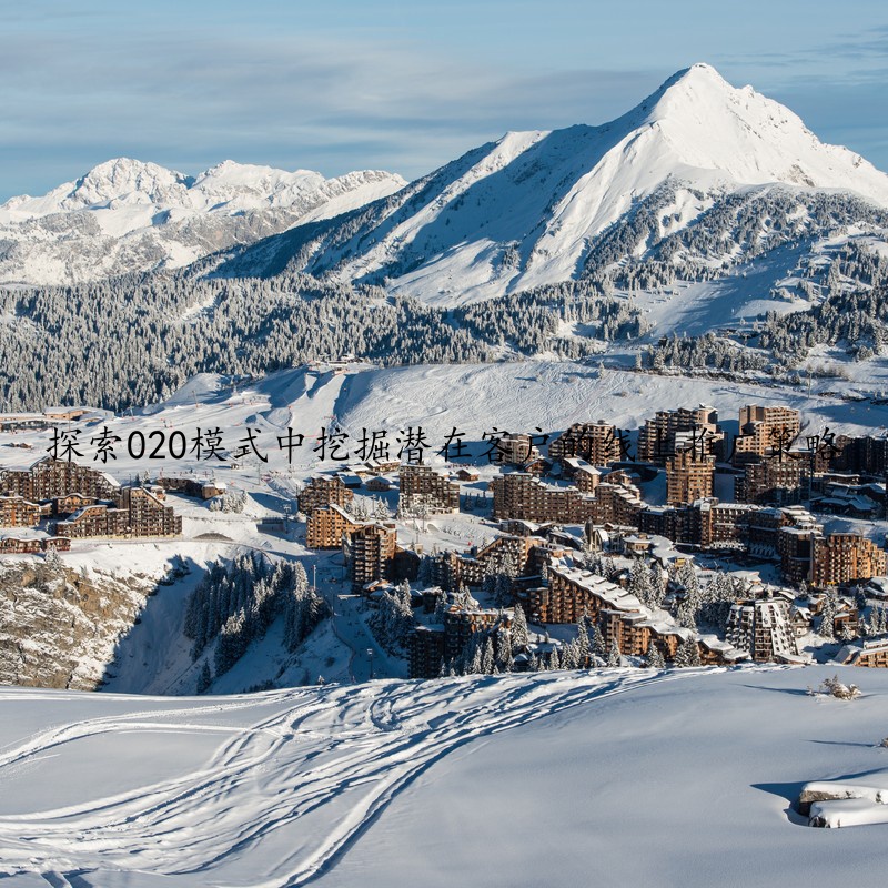 探索020模式中挖掘潜在客户的线上推广策略