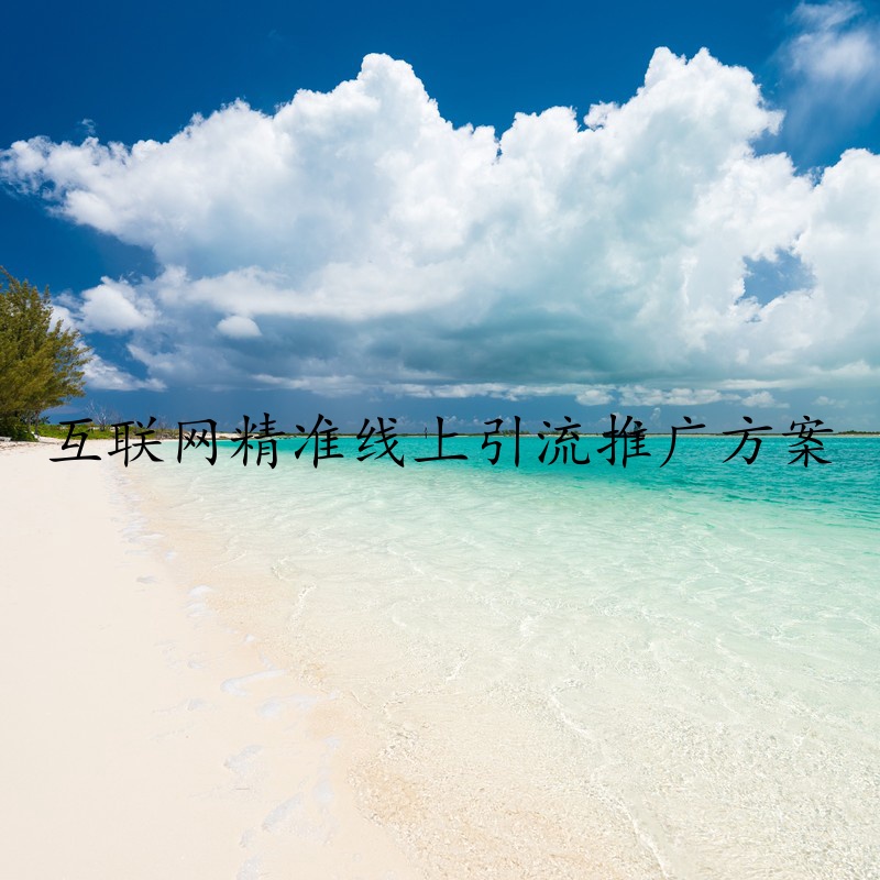 互联网精准线上引流推广方案