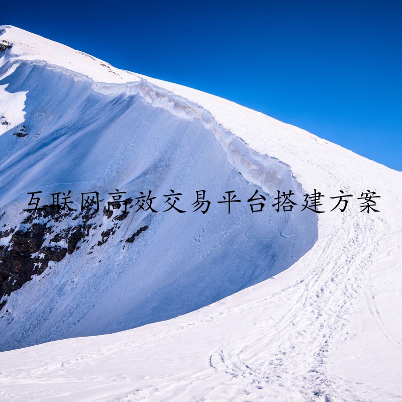 互联网高效交易平台搭建方案