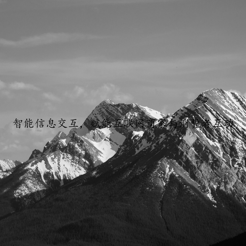 智能信息交互，赋能互联网商家与消费者互动