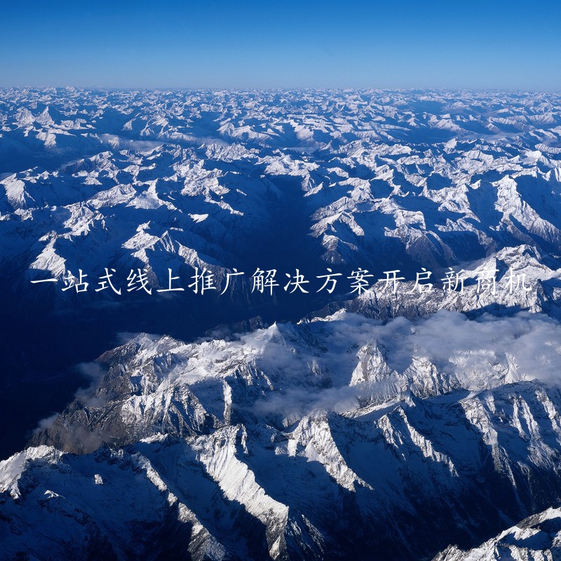 一站式线上推广解决方案开启新商机