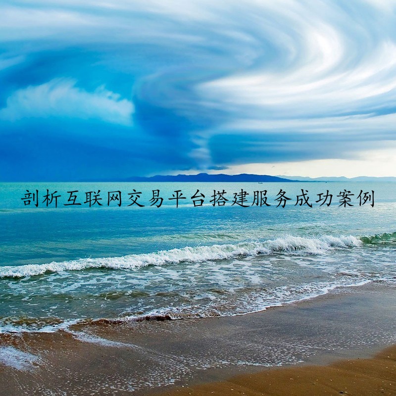 剖析互联网交易平台搭建服务成功案例
