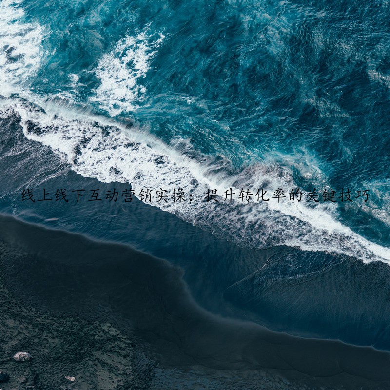 线上线下互动营销实操：提升转化率的关键技巧