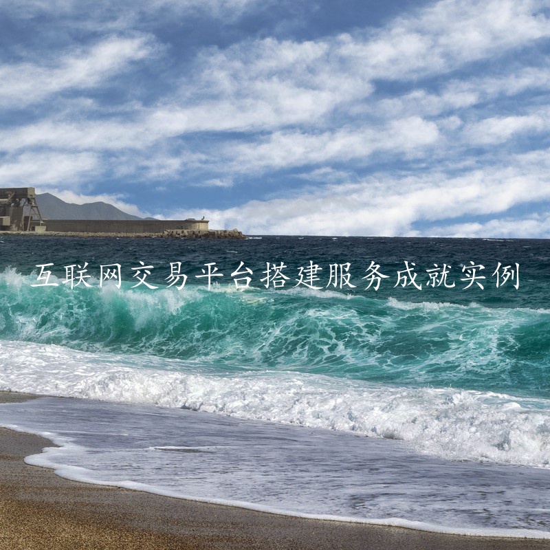 互联网交易平台搭建服务成就实例