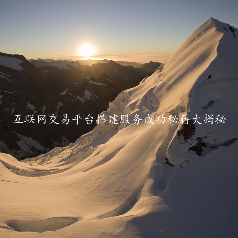 互联网交易平台搭建服务成功秘籍大揭秘